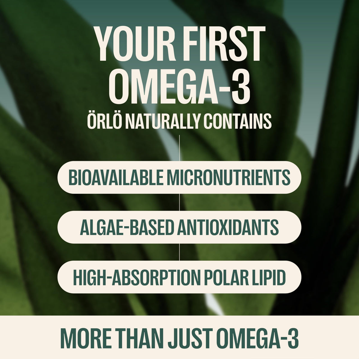 Orlo DHA Supplement 1000mg