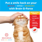 Brain Bean Brain G-Force Cognitive Support - 90 Capsules - image 5