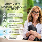 Secrets of the Tribe Goldenseal Root Tincture Alcohol-Free Extract