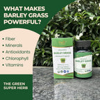 ORGANIC SPREE Barley Grass Tablets - 120 Vegetarian Tablets - image 5