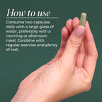 Primal Harvest Immune Defense Daily Supplement - 60 Capsules - image 4