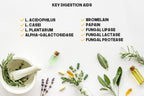 Bulk Buy Digestion Aid - Blend of Digestive Enzymes and Key Probiotic