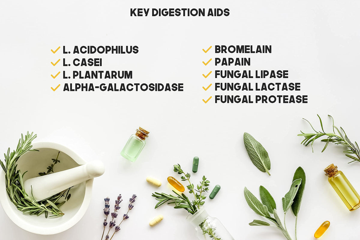 Bulk Buy Digestion Aid - Blend of Digestive Enzymes and Key Probiotic