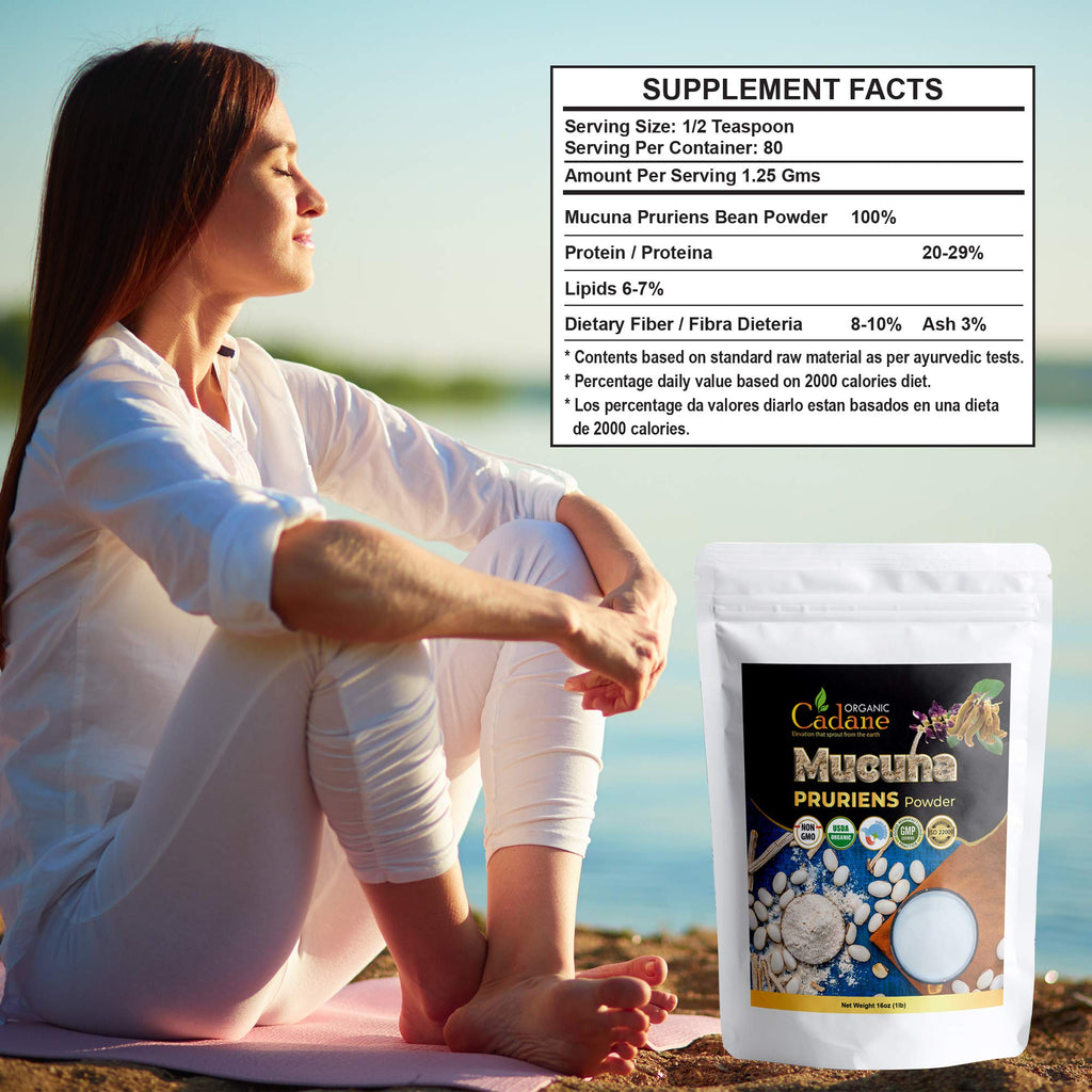 Organic Cadane Mucuna Pruriens Powder for Energy - 1 Pound - image 2