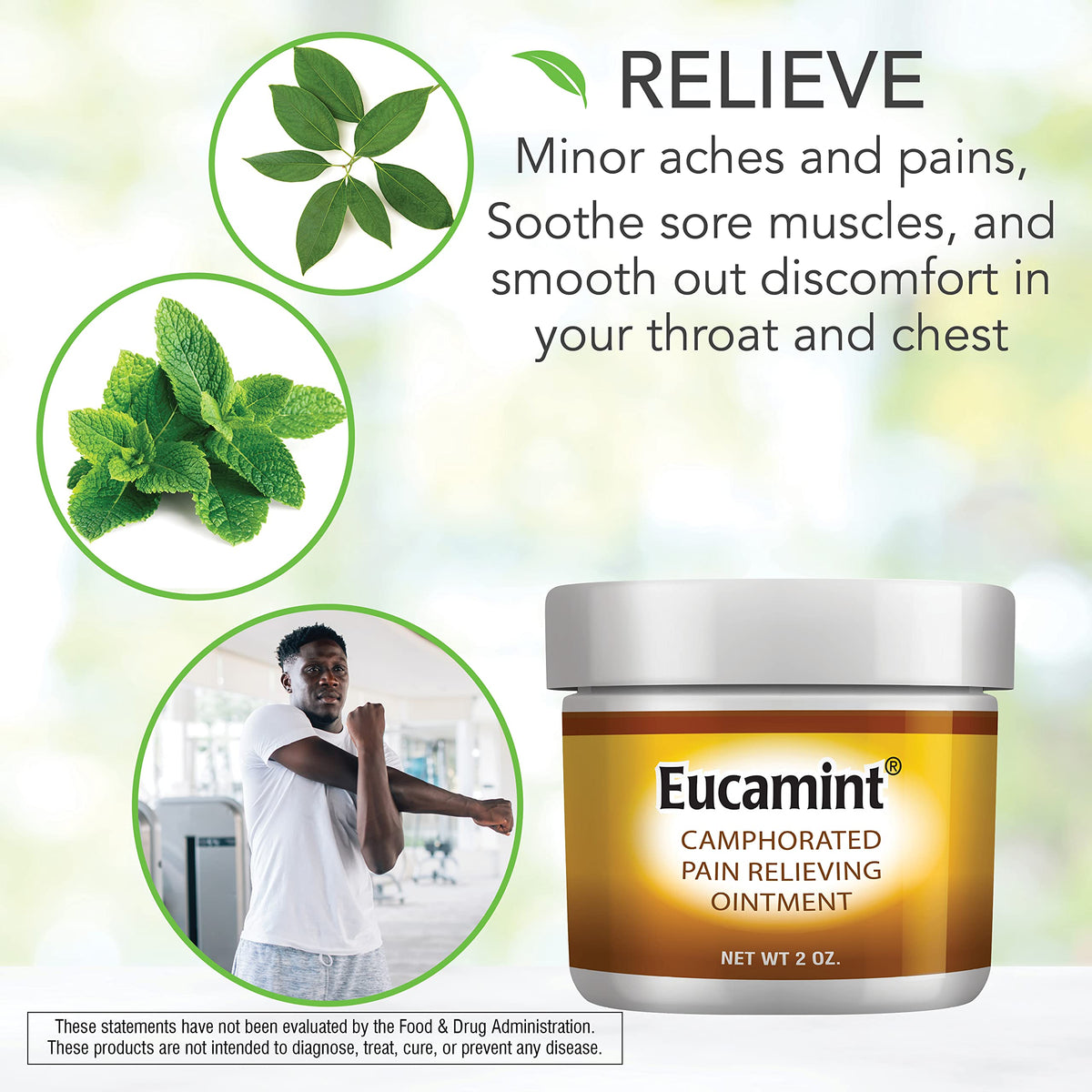 Botanic Choice Eucamint Pain Relieving Ointment Muscle & Joint Support - 2 oz - image 4
