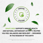 Secrets of the Tribe Grape Seed Tincture Alcohol-Free Liquid Extract