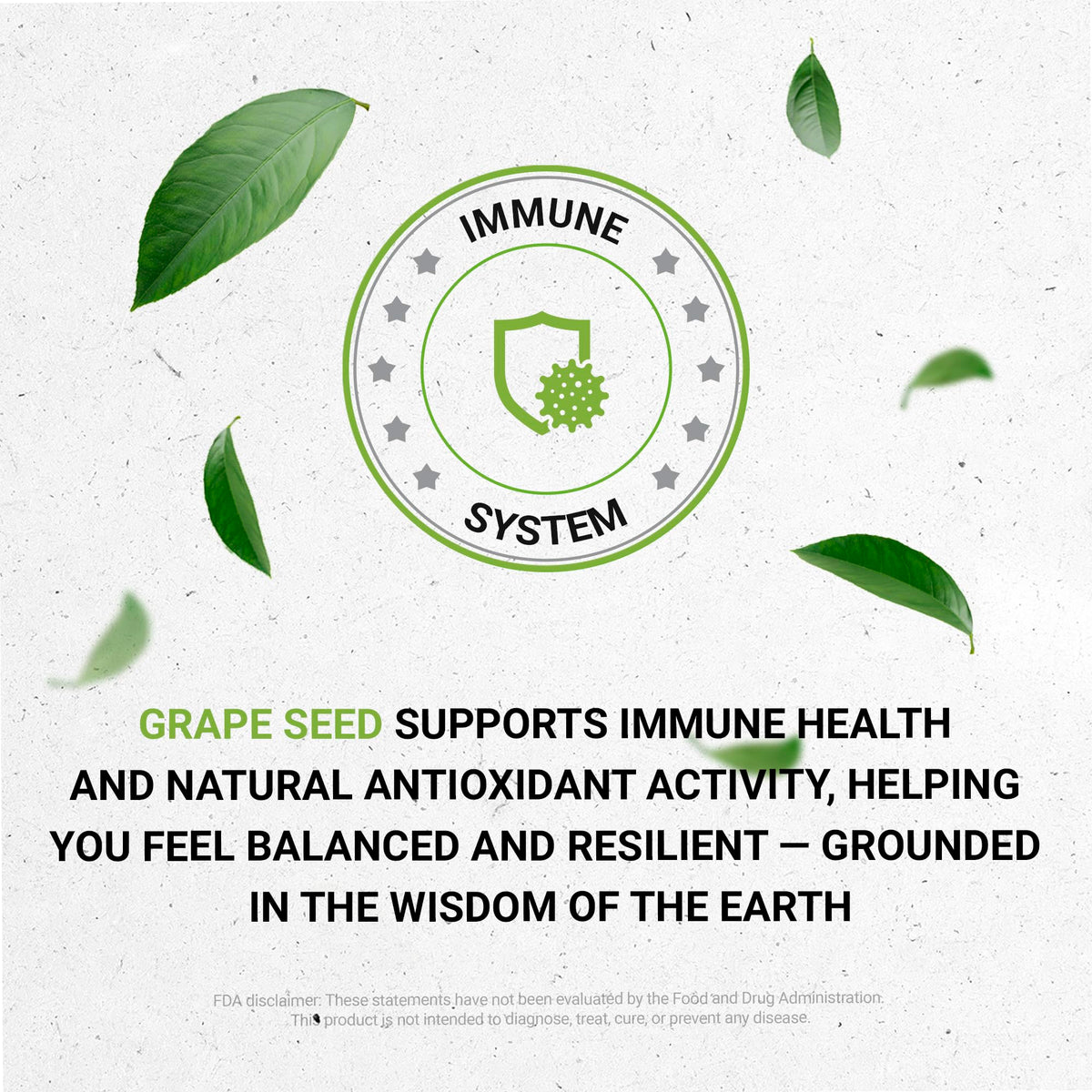 Secrets of the Tribe Grape Seed Tincture Alcohol-Free Liquid Extract