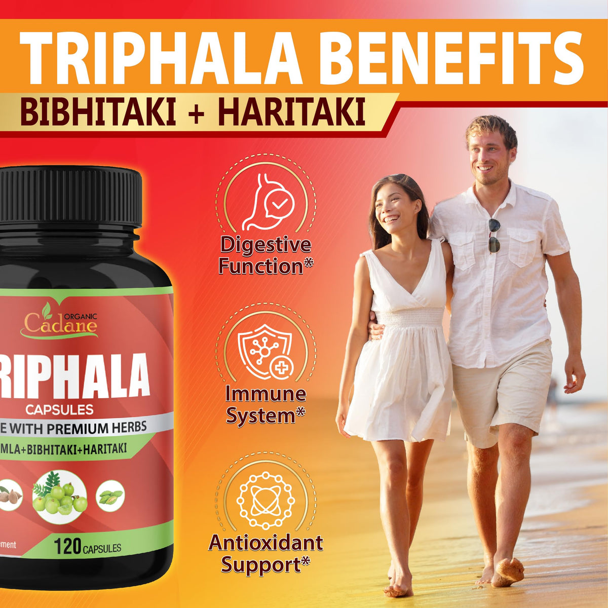 Organic Cadane Triphala 3 Fruit Powders - 120 Vegetarian Capsules - image 4