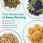 TrueSeaMoss Sea Moss Gummies with Elderberry & Burdock Root - 60 Gummies - image 3