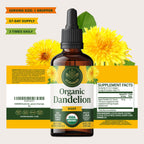 HERBAMAMA USDA Organic Dandelion Root Extract Liver Support - 4 oz - image 8