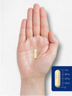 Carlyle Gelatin Capsules with Silica Optimizer - 250 Count - image 7