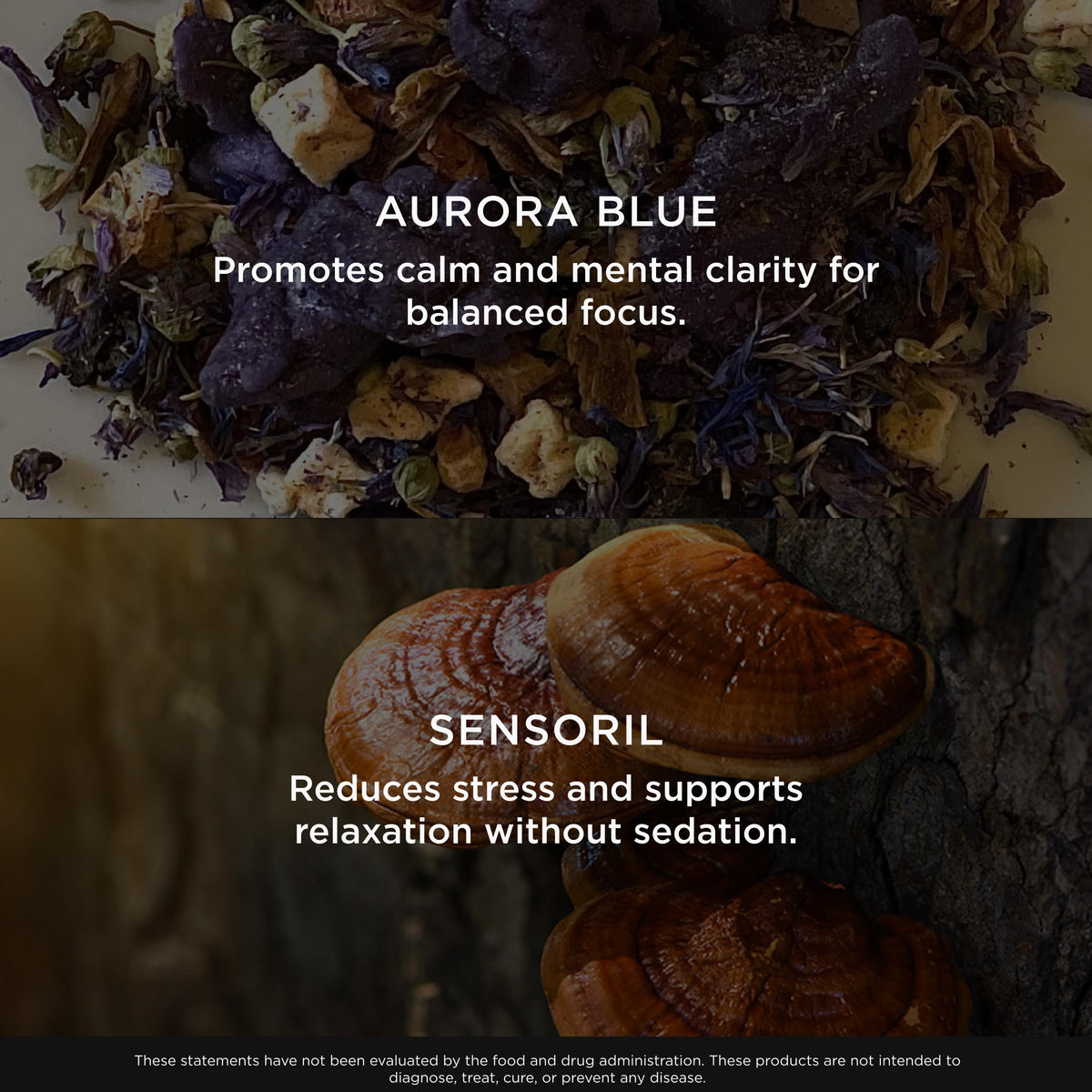 The Genius Brand Genius Mindfulness Brain Health Supplement - image 5