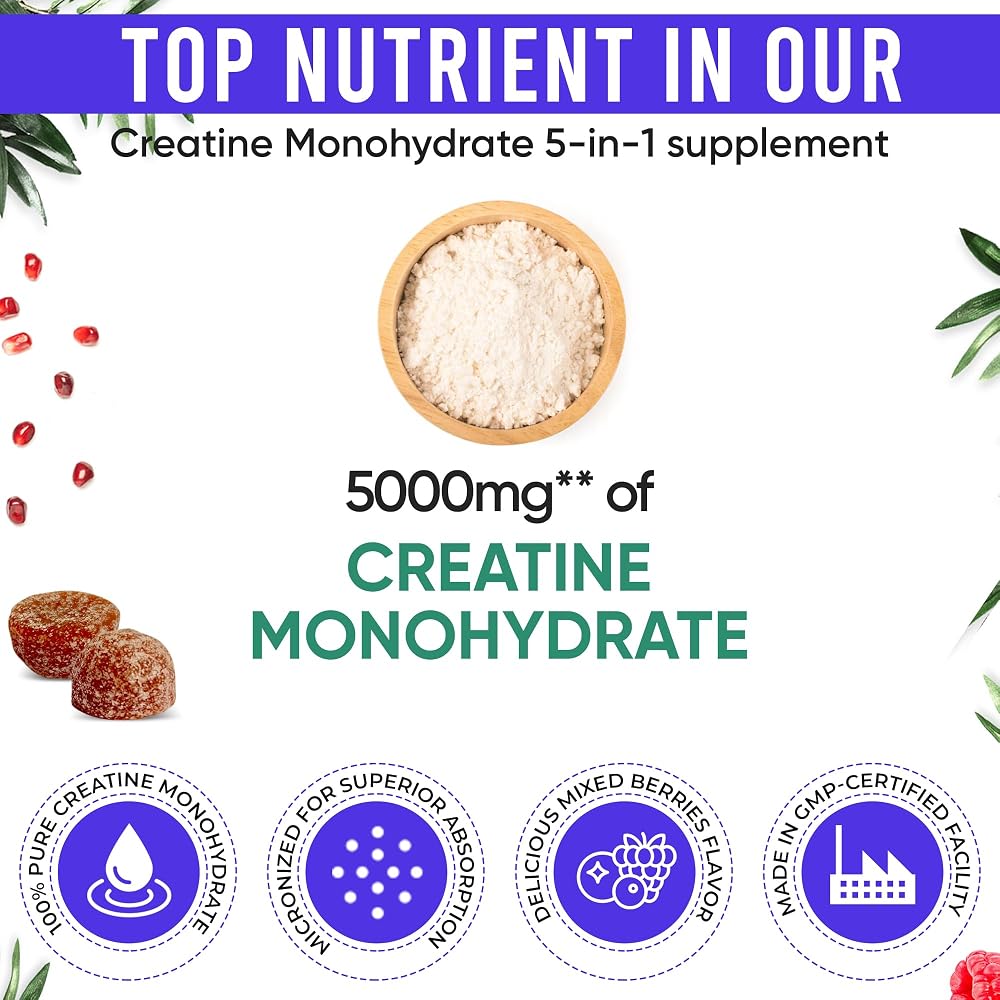 Adndale Creatine Monohydrate Gummies for Fitness - 75 Gummies - image 2
