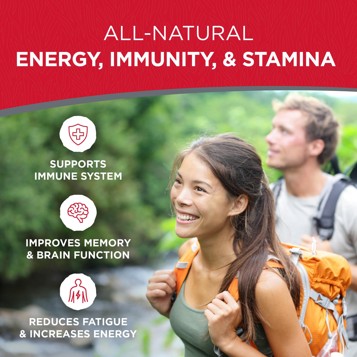 Dairyland Notoginseng Capsules for Immune Support - 75 Count - image 3