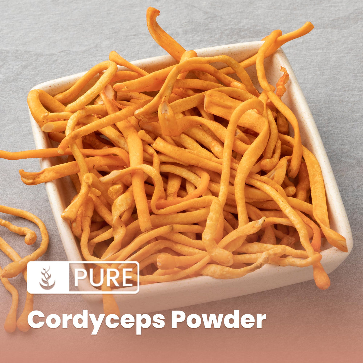 PURE ORIGINAL INGREDIENTS Cordyceps Extract Powder - 8 oz - image 3