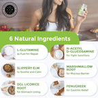 Intestinal Fortitude Gut Health Supplement for Digestive Relief