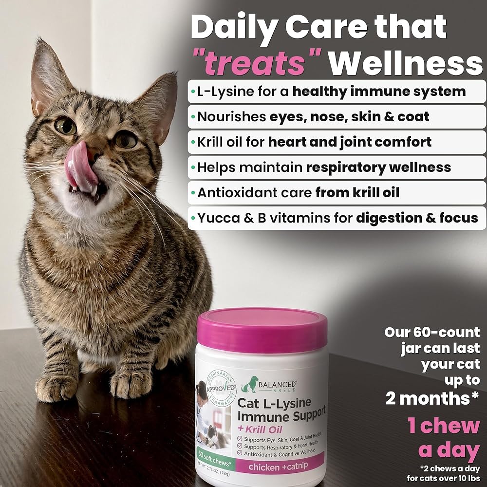 Balanced Breed L-Lysine Cat Treats Immune Support - 60 Chews - image 3