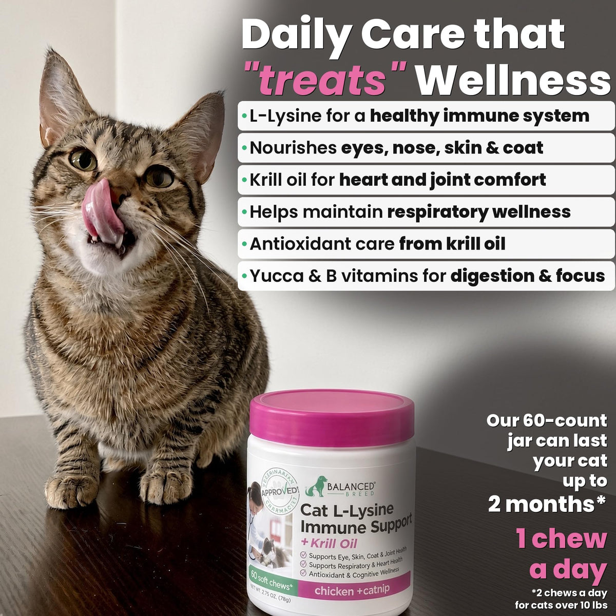 Balanced Breed L-Lysine Cat Treats Immune Support - 60 Chews - image 3
