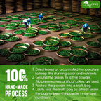 TOG999, Premium Chicory Gardenia Tea Bags, 100% Natural & Pure.