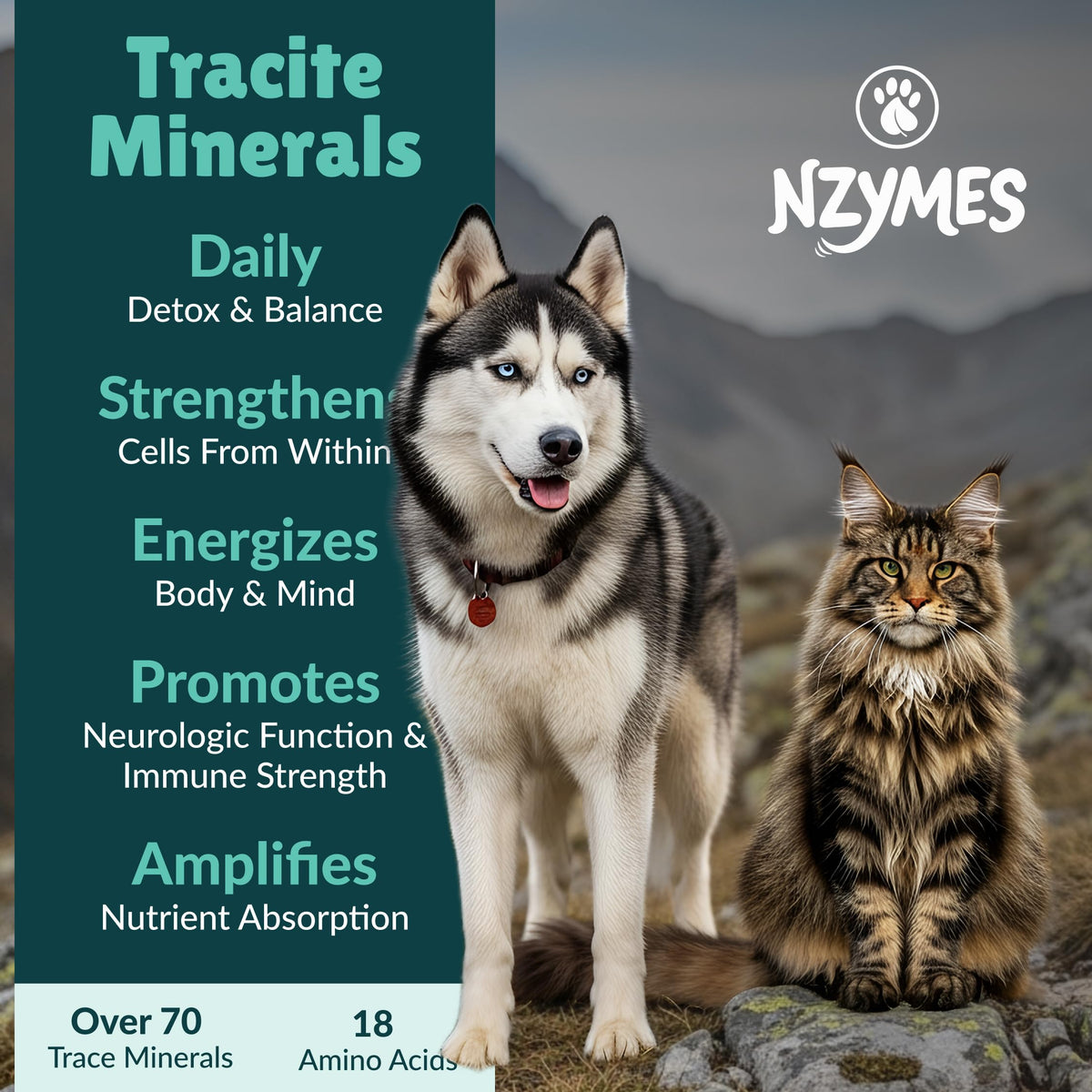 Nzymes Tracite Trace Mineral Drops for Pets - 2.2 oz - image 2