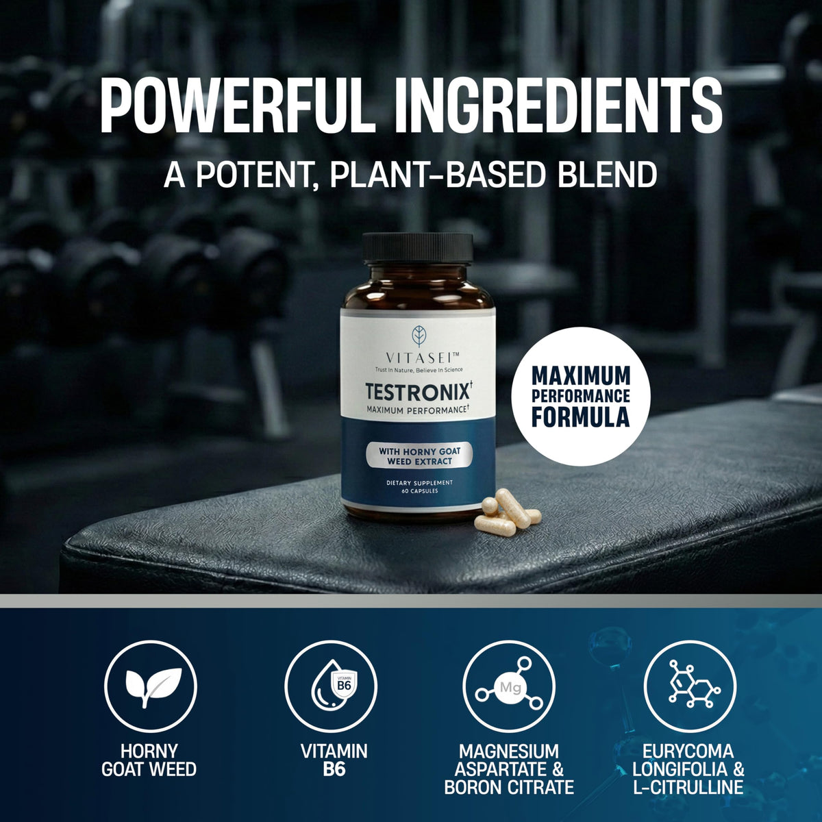 VITASEI Testronix Testosterone Booster for Men