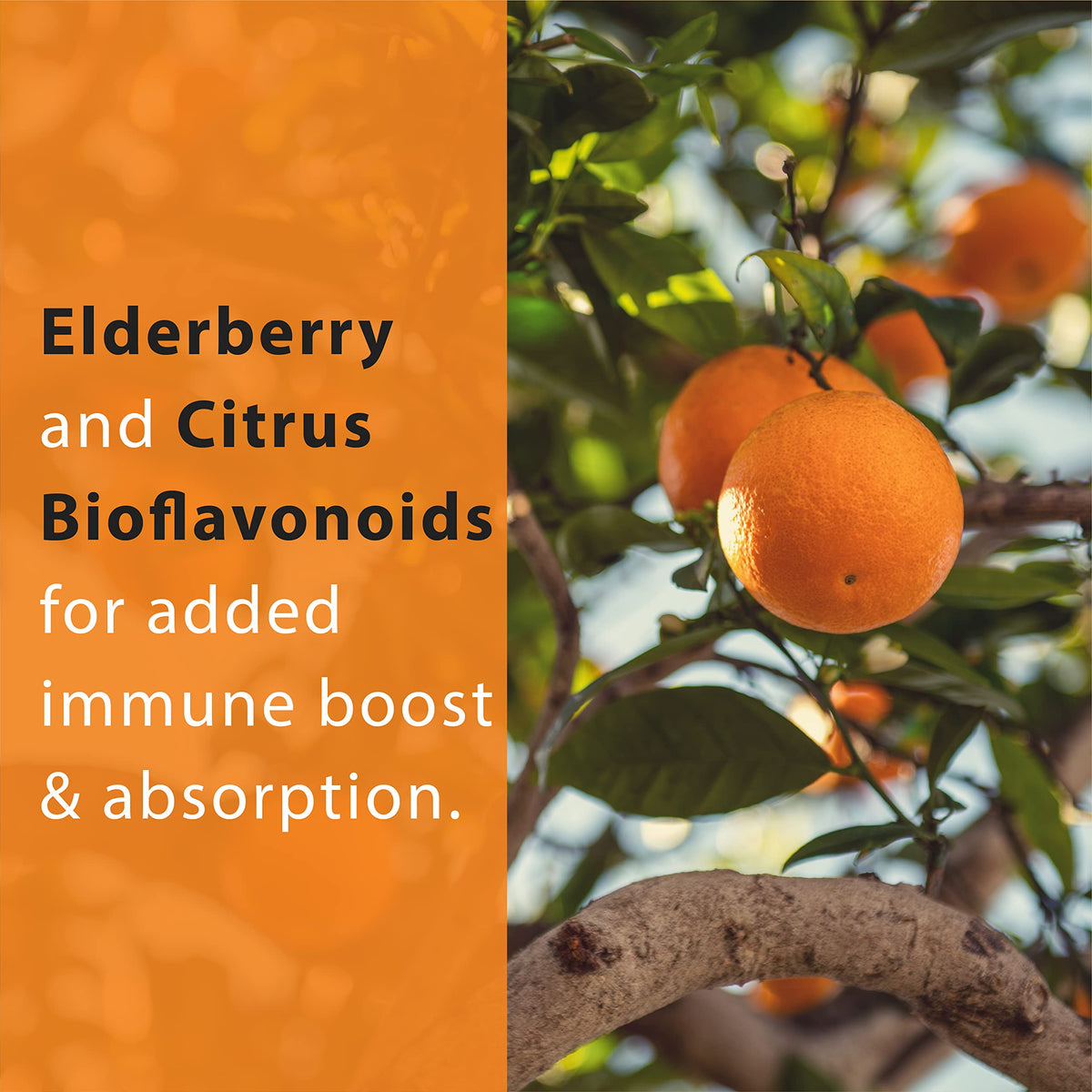 Thomas' All-Natural Remedies Vitamin C with Elderberry - 90 Capsules - image 2