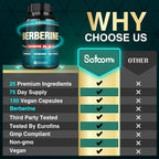 Satoomi Berberine Supplement