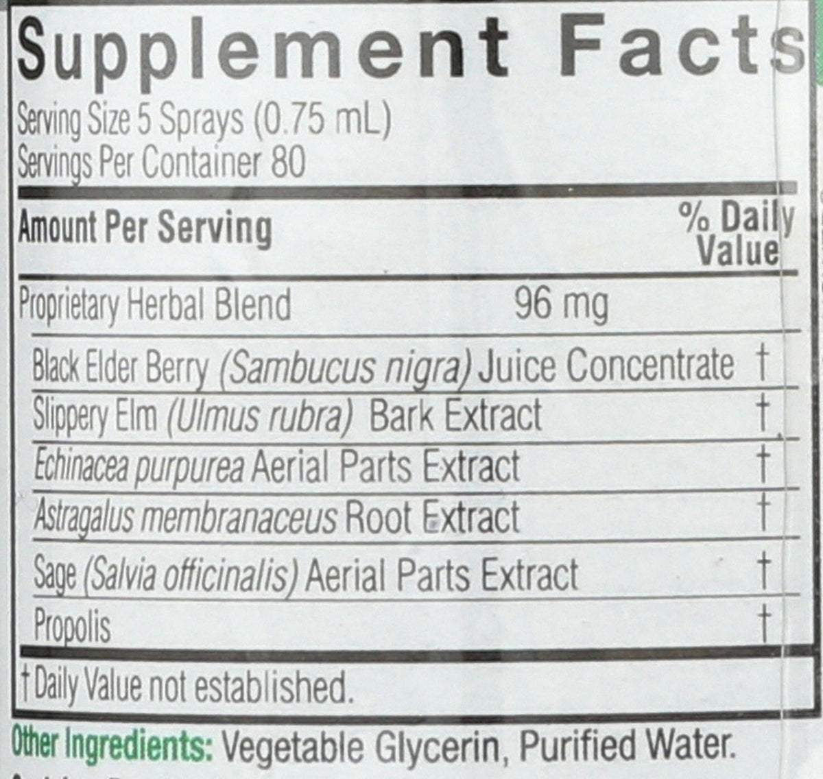 Nature's Answer Sambucus Elderberry Spray - 2 Fl Oz - image 3