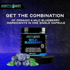 Purity's Best Wild Blueberry Extract Antioxidant - 120 Vegan Capsules - image 2