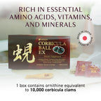 Umeken Corbicula Ball EX Liver Support - 60 Packets - image 3