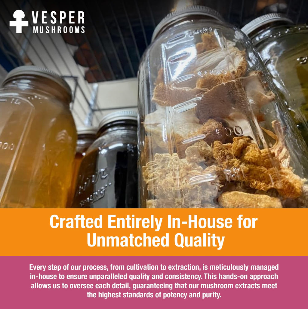 Vesper Mushrooms Liquid Extract - Double Extraction with Wild