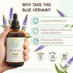 HerbEra Blue Vervain Alcohol-Free Herbal Extract Tincture