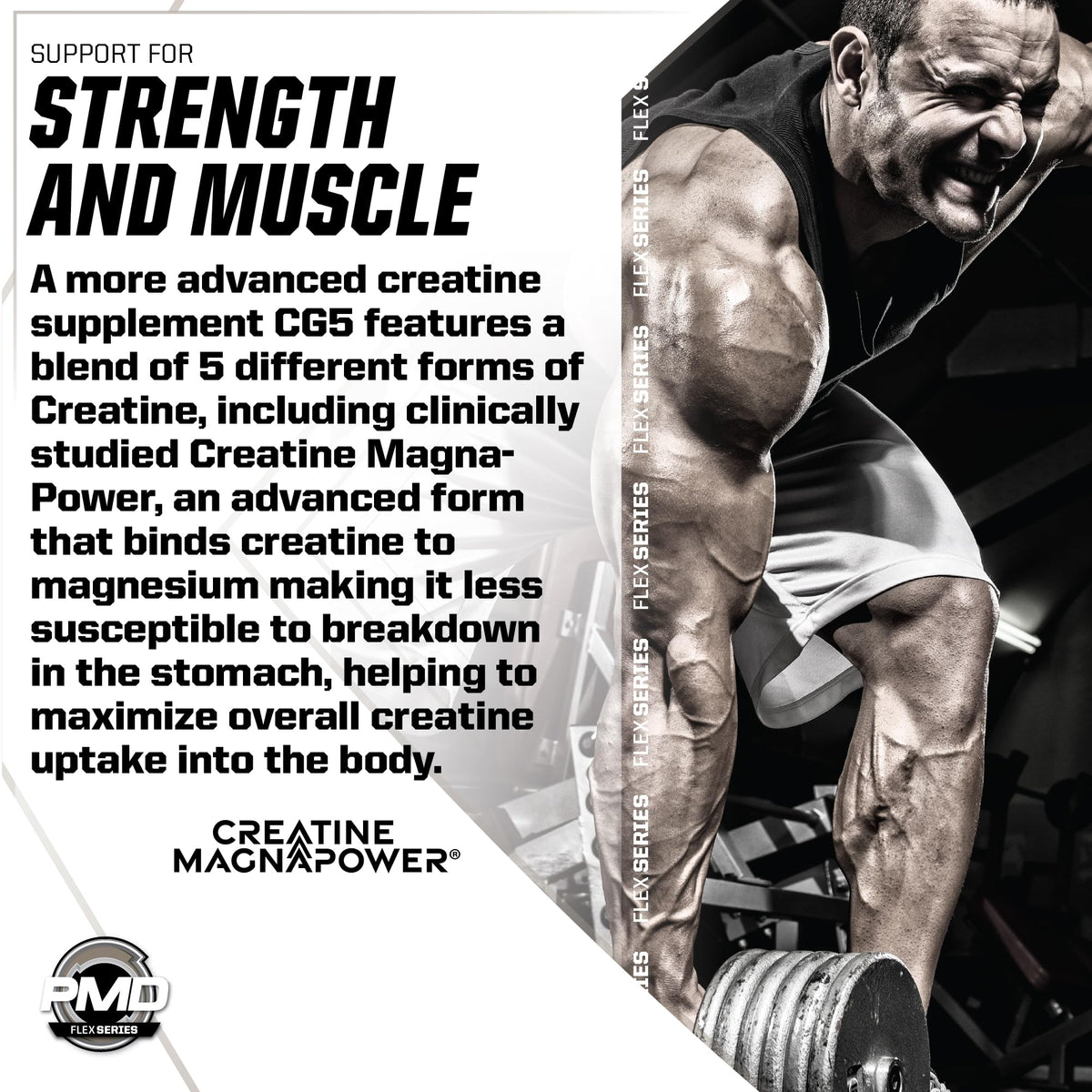 PMD Sports CG5 Creatine & L-Glutamine Powder - 60 Servings - image 9