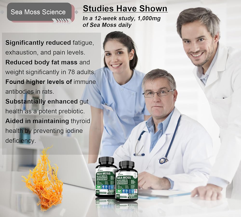DLNIA 16-in-1 Organic Sea Moss Superfood Blend - 60 Capsules - image 4