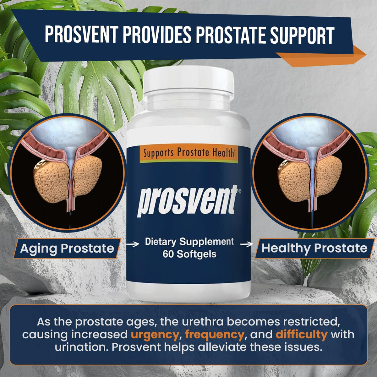 Prosvent Prostate Support with Beta Sitosterol & Stinging Nettle - 60 Softgels - image 7