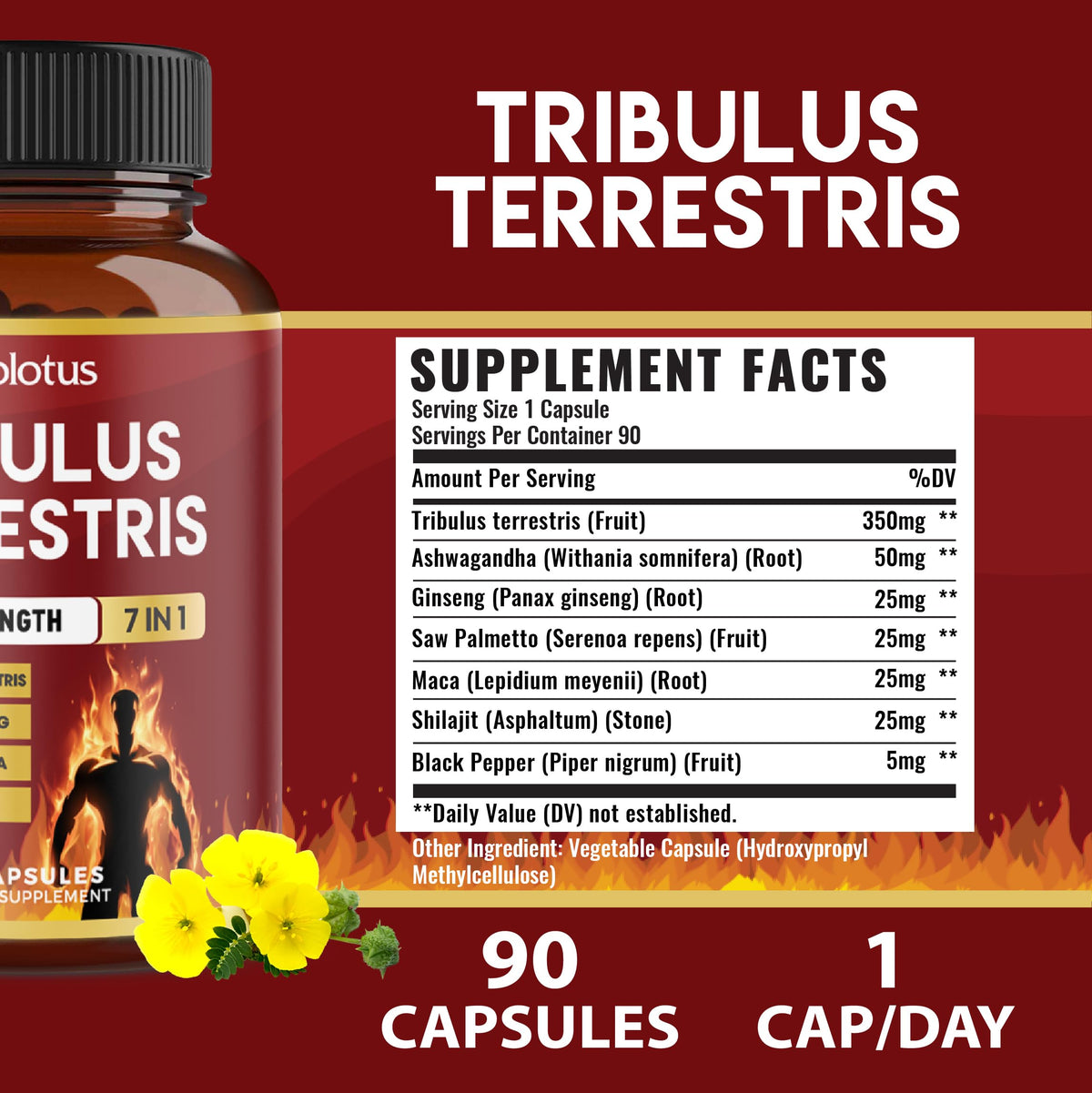 Zolotus Tribulus Terrestris Herbal Supplement - 90 Capsules - image 4
