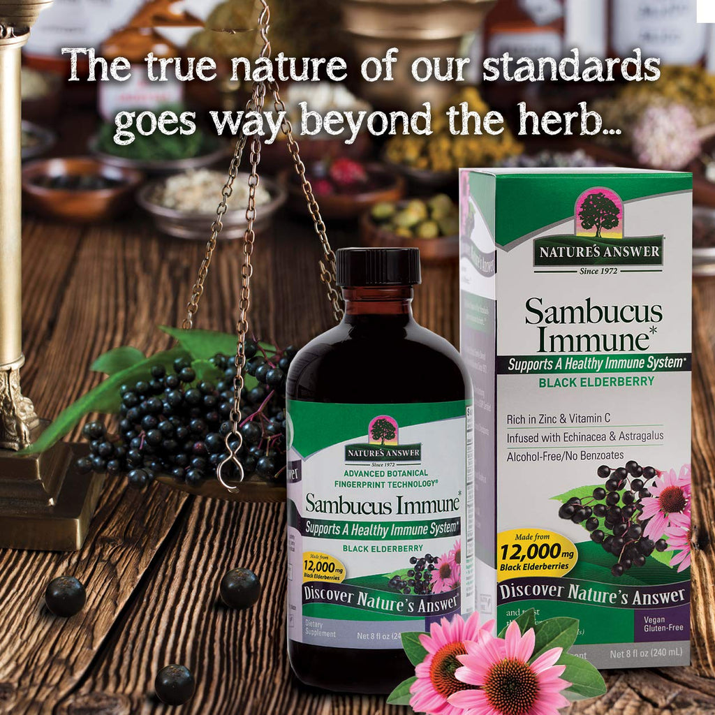 Nature's Answer Sambucus Elderberry Extract Immune Support - 16 Fl Oz - image 6