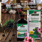Nature's Answer Sambucus Elderberry Extract Immune Support - 16 Fl Oz - image 6