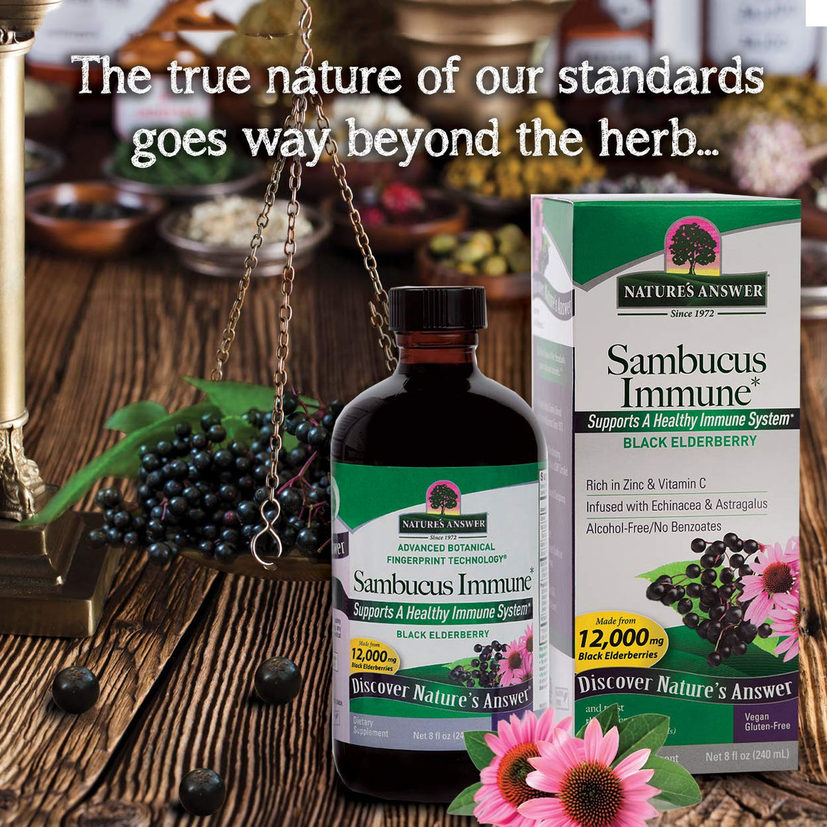 Nature's Answer Sambucus Elderberry Extract Immune Support - 16 Fl Oz - image 6