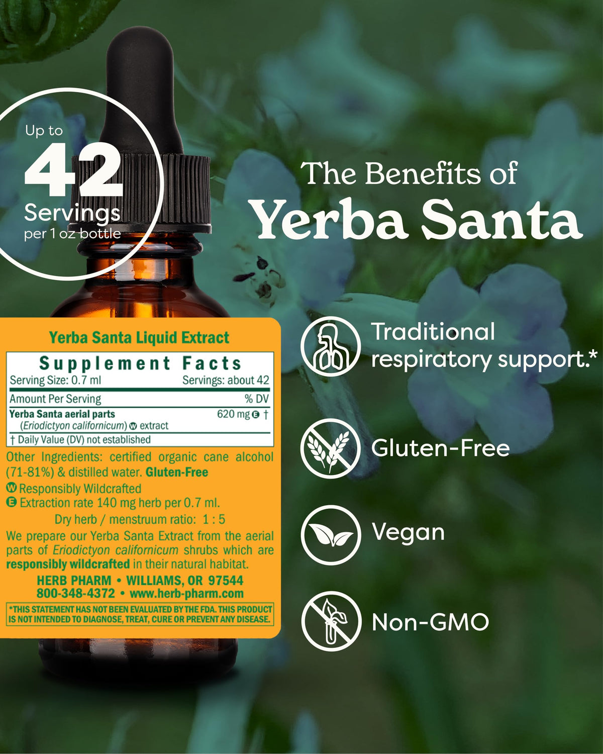 Herb Pharm Yerba Santa Liquid Extract for Respiratory Support - 1 Fl Oz - image 2
