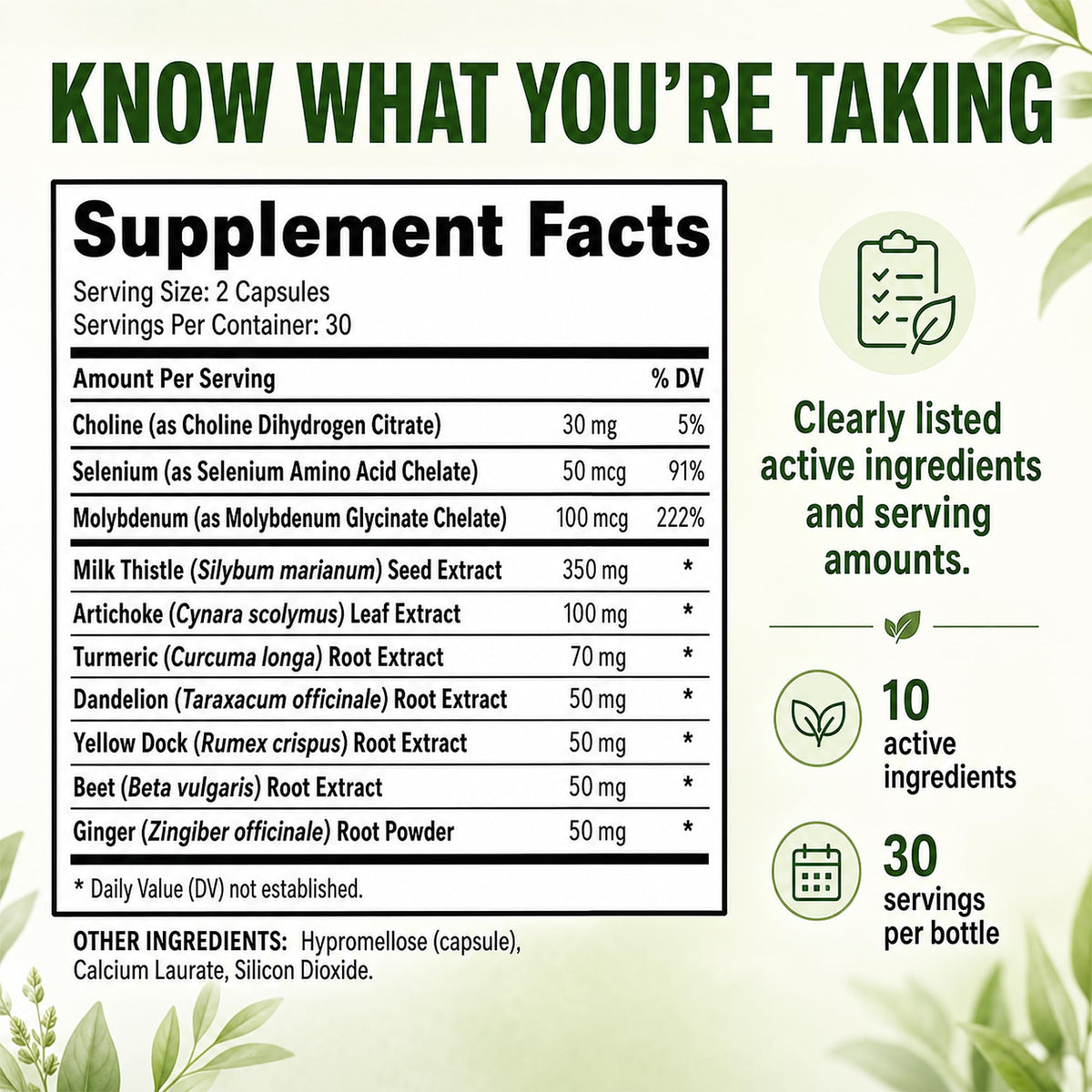Balance ONE Liver Support Supplement with Milk Thistle - 60 Capsules - image 8