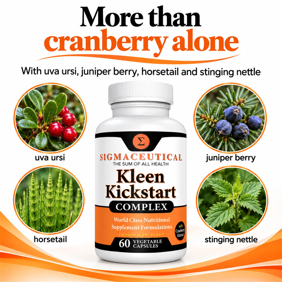Sigmaceutical Kidney Cleanse & Urinary Support Cranberry Pills - 60 Capsules - image 4