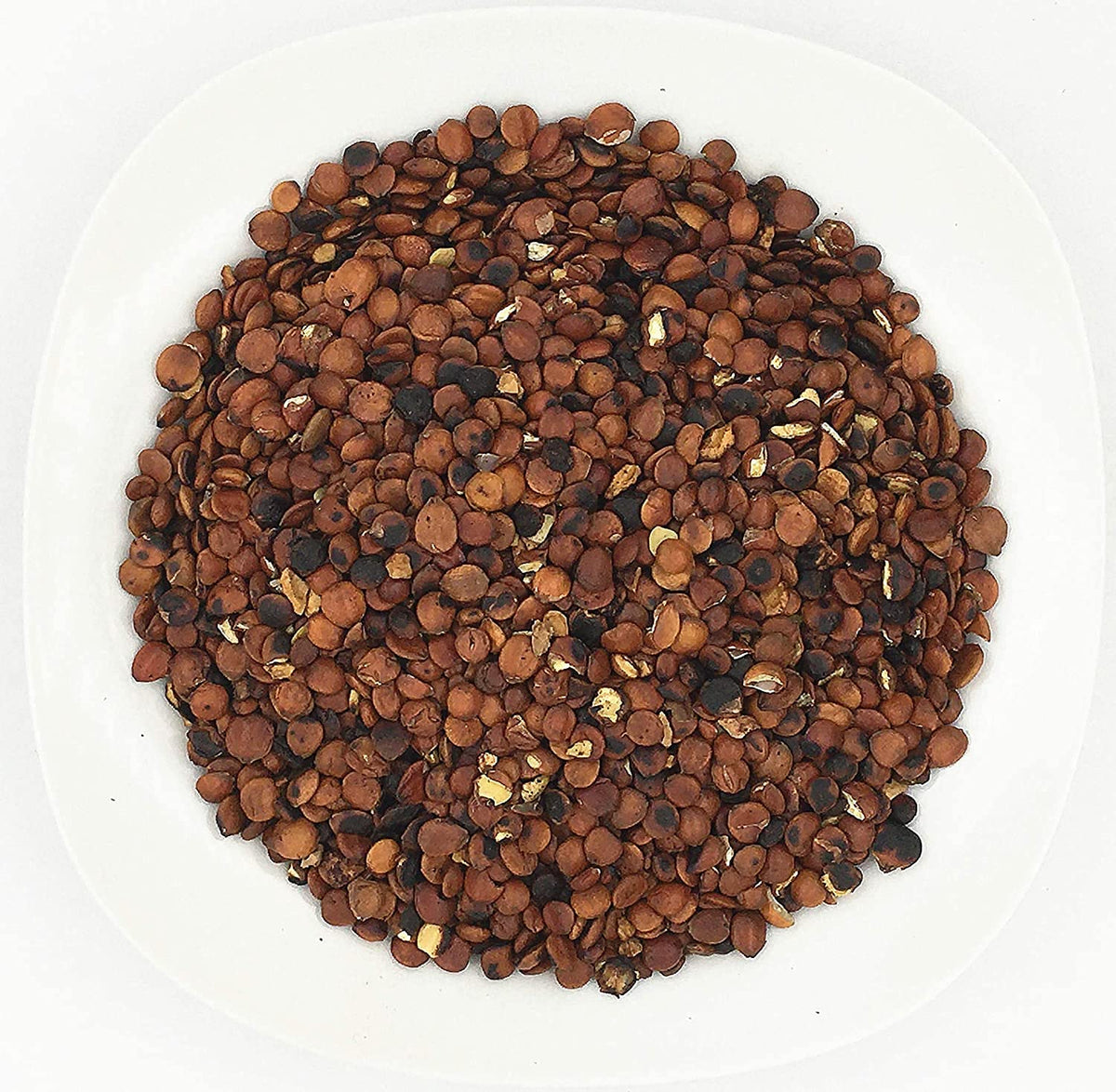 Greenlike Fried Semen Zizyphi Spinosae Suan Zao Ren Semen Ziziphi