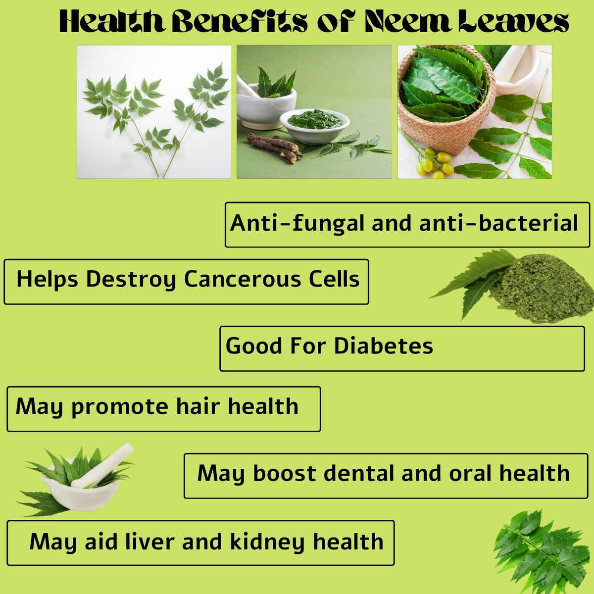 Diyon's Whole Dried Neem Leaves - 10 g - image 3