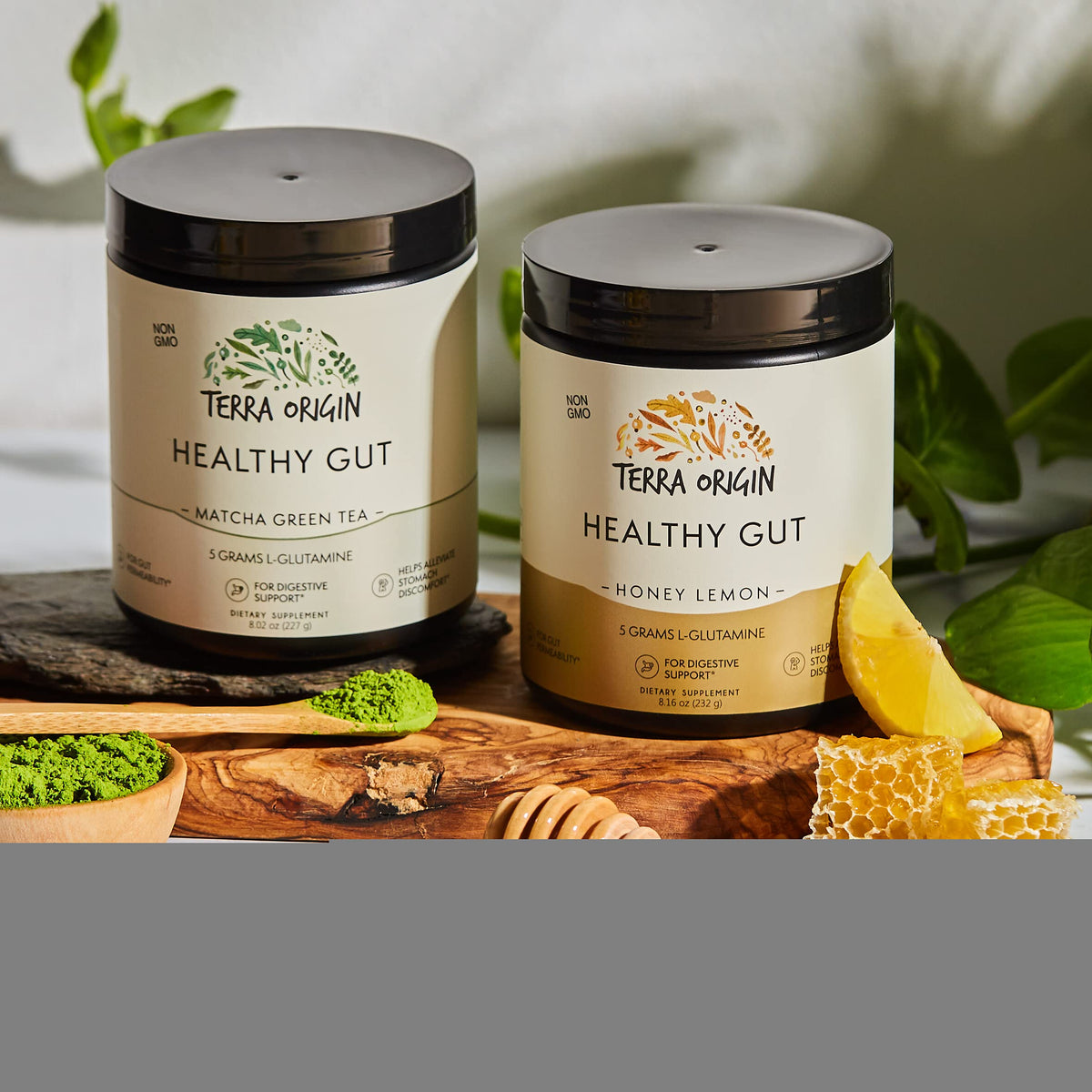TERRA ORIGIN Healthy Gut with L-Glutamine