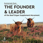 Ancestral Supplements Grass Fed Beef Heart Supplement CoQ10 - 180 Capsules - image 3