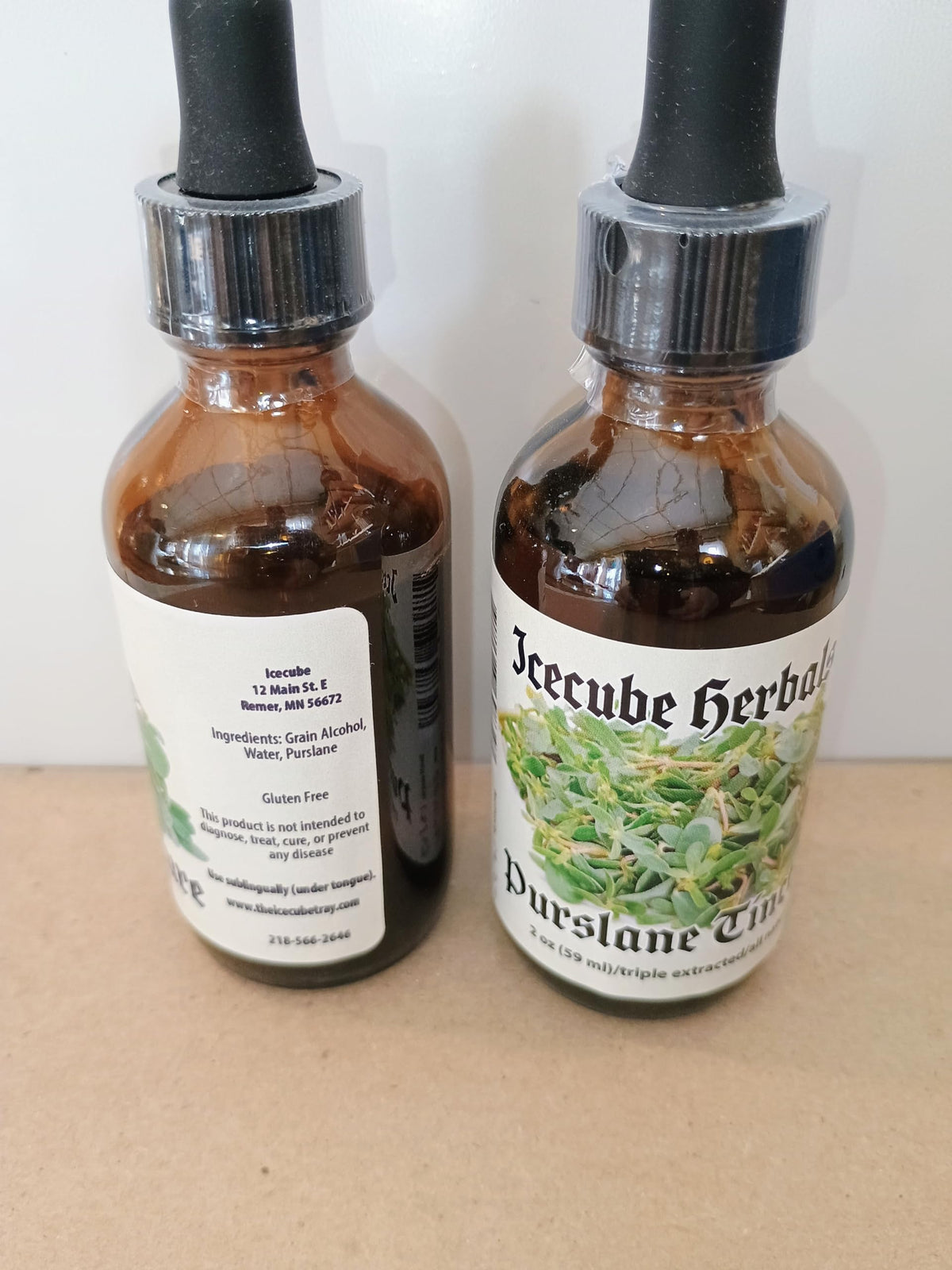 Icecube's Chaga Triple Extracted Purslane Tincture - 2 Fl Oz - image 2