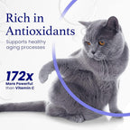 C60 Evo Cat Lover Set Antioxidant Support - 2 Pack - image 3