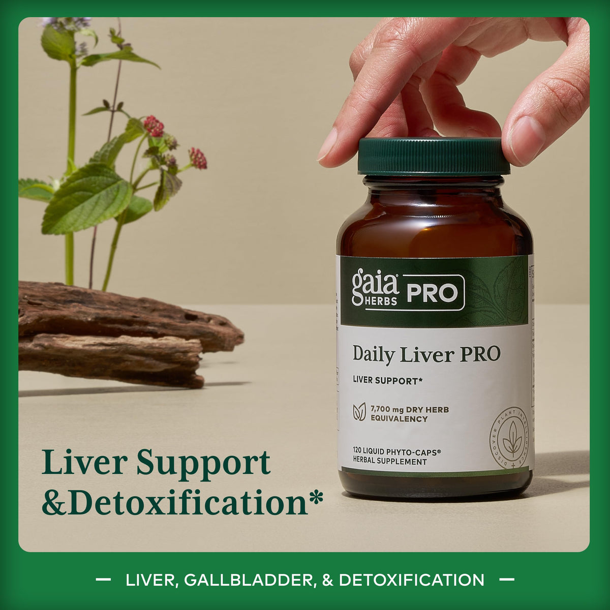 Gaia Herbs PRO Daily Liver PRO - 120 Vegan Capsules - image 3