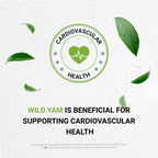 Secrets of the Tribe Wild Yam Alcohol-Free Tincture - 2 Fl Oz - image 5